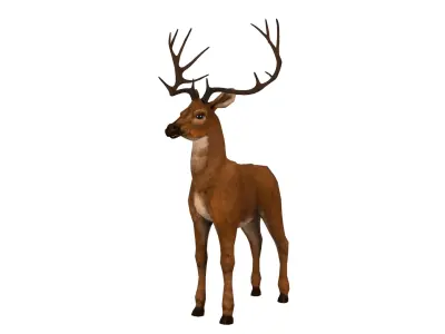 Deer  rig  high-poly  textured 3D model