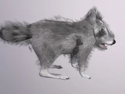 3D model Raccoon Animated Low-poly 3D model