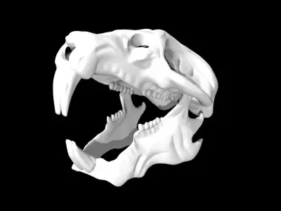 Rat Skull Low-poly 3D model purchase