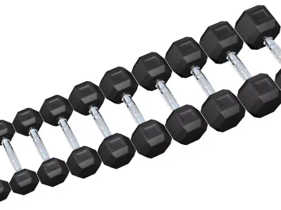 Dumbbell Collection dumbbells - 3D model