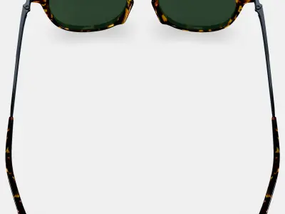 Kian Sunglasses in Black Oak Tortoise with Brushed Ink 3D model
