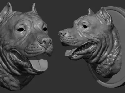 Pitbull terrier head 3D print model