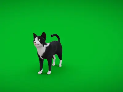 Tuxedo Cat Low-poly 3D model