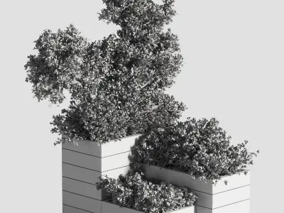 Outdoor Plants Tree in Plant Box Set02 3D model
