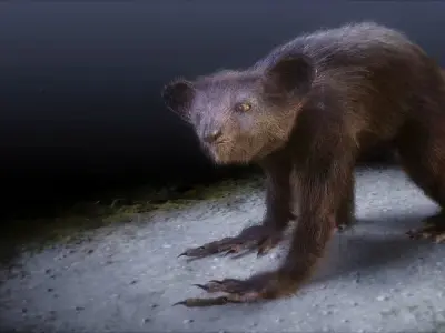 Aye Aye werewolf 3D model