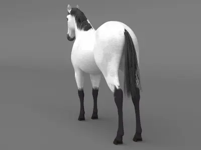 White Horse 4K 3D model