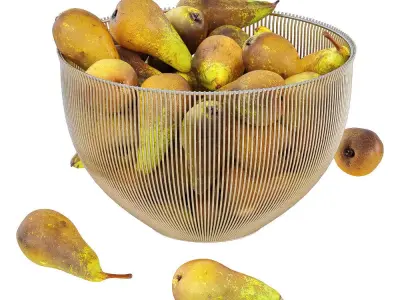 Pear Conference in Decorative Metal Vase 3D model