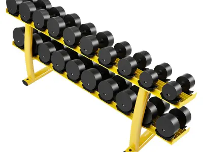 Signature Series Two Tier Dumbbell Rack 3D model