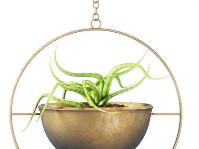 Hanging plants 143 3D model