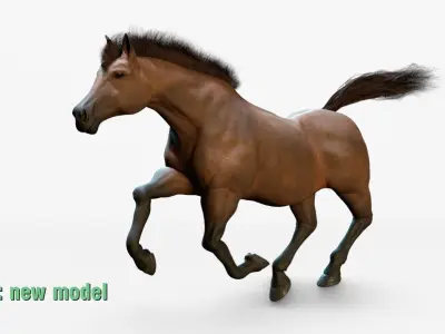 Horse Animated Low-poly 3D model