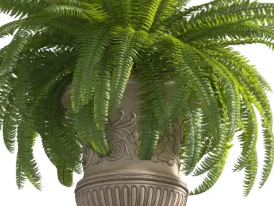 Fern in a classic Vase Flowerpot 3D model
