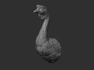 Goose Gander bust 3D print model