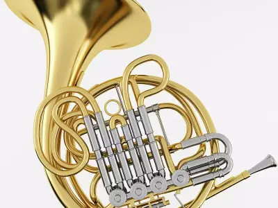 French Horn 3D model