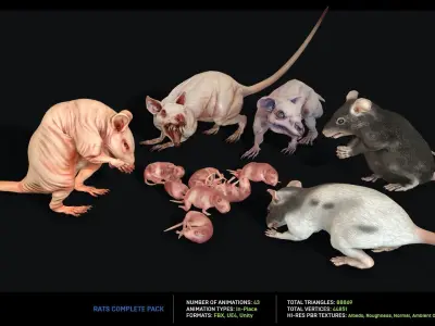 Rats Complete Pack Low-poly 3D model