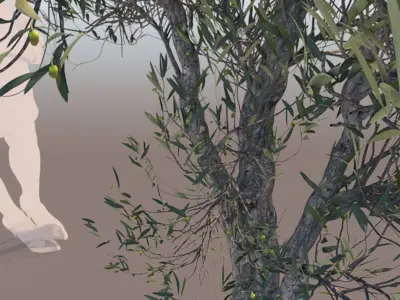 Olea europaea olive tree decorative A 3D model