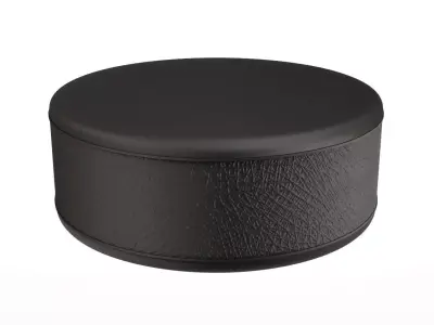 Ice Hockey Puck 3D model