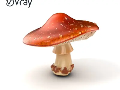 Chanterelle Dewy Mushroom Model Pack Low-poly 3D model