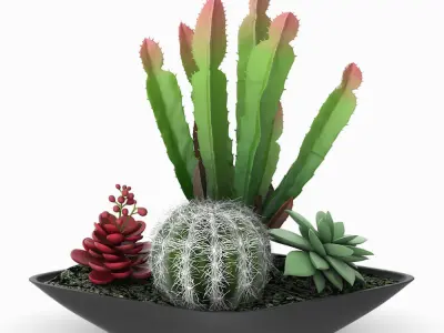 Pot Plant 24 3D models 3D model