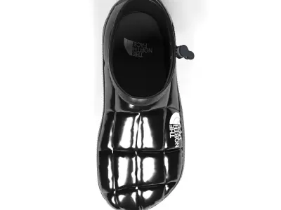 The North Face Sneakers 3D model