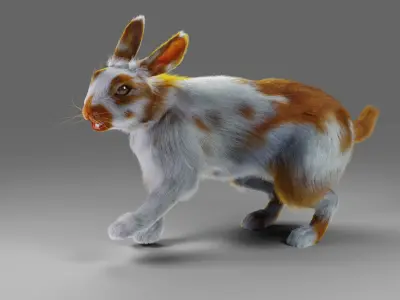 Fur Rabbit Gray V03 Rigged Low-poly 3D model