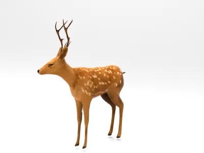 Cute Deer Rigged  Low-poly 3D model