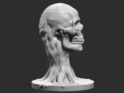 skull head modern sculpture 3d print model 71 3D print model