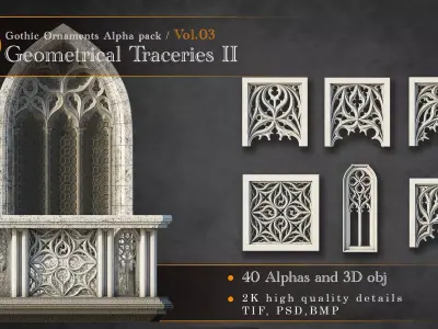Gothic Ornaments Vol 03  40 Geometrical Tracery II  3D model
