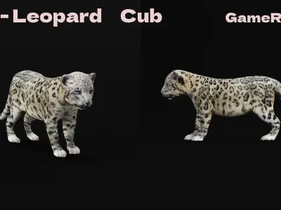 Snow Leopard Cub Low-poly 3D model