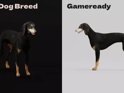 Saluki Dog Breed 3D model