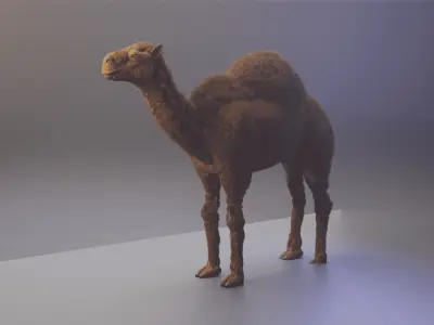 Realistic Camel Low-Poly 3D Model Low-poly 3D model