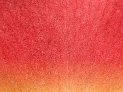 table dining room and chairs 3D model