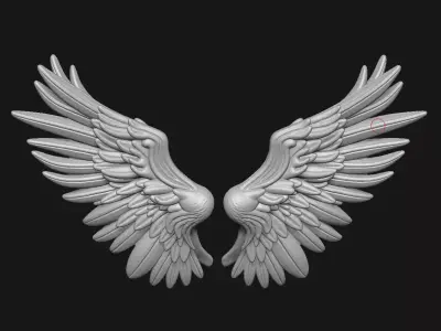 Wings 3D print model