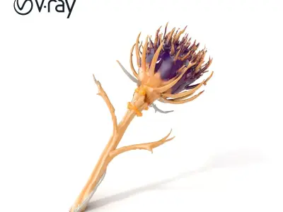 Luxurious Thistle Gold Accent Model Pack Low-poly 3D model