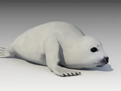 Seal cub Low-poly 3D model