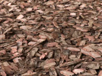 Mulch of pine bark 3D model
