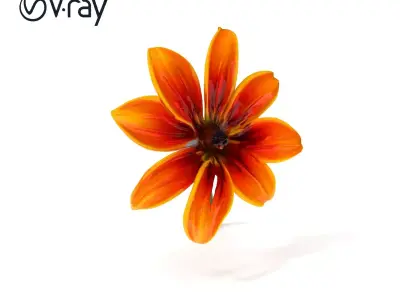 Vibrant Orange Flower Model Pack for D Rendering Low-poly 3D model