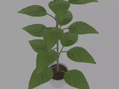 Small decorative pot tree 3D model