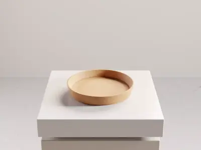 Cork Coaster for Coffee and Tea Cups Free low-poly 3D model