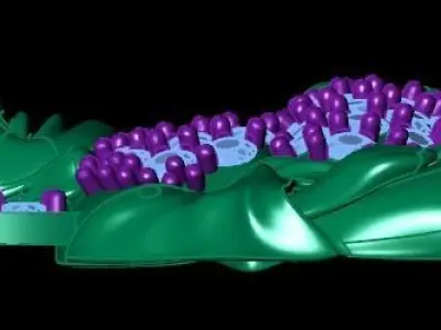 Maitreya buddha pendant 3D print model