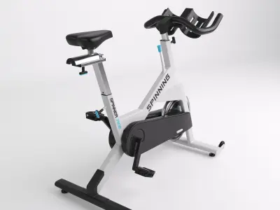 Home Spinner 3D model