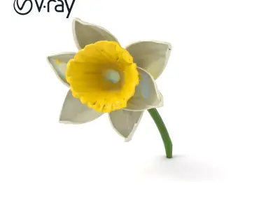 White Narcissus Flower Realistic Textured Model Pack Low-poly 3D model