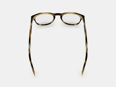 Baker Eyeglasses in Striped Sassafras 3D model