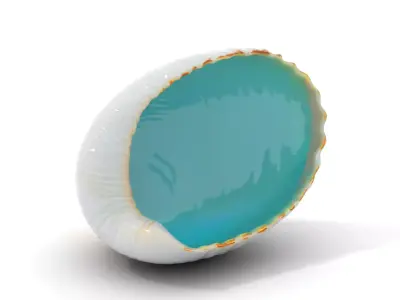 Serene Seashell Aquatic model pack Low-poly 3D model