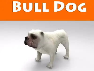 BullDog game ready low poly Model - Low-poly 3D model