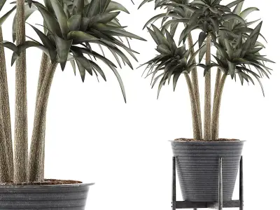 Plants Collection 117 3D model