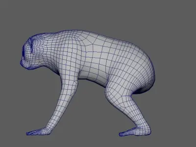 Slow Loris Body Base 3D model