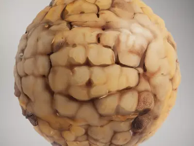 HQ PBR Textures Set  Nut Shell Bumpy Texture