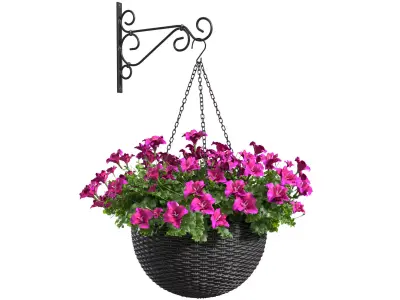Hanging basket flowerpot rattan pot with flowers 3D model order