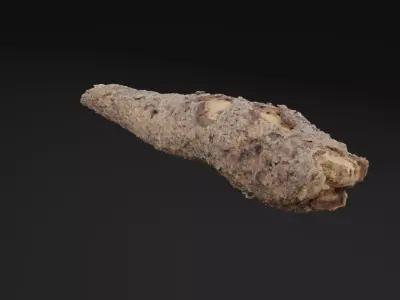 Pine Wood Debris Low-poly 3D model