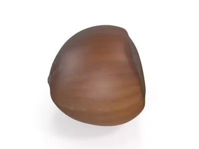 Realistic Hazelnut 3D model acorn stool 3D model